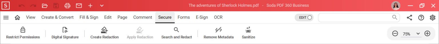 Secure tab - How to secure a PDF - Soda PDF Desktop